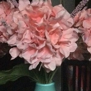 Meet your Posher, Sulema